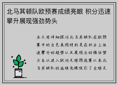 北马其顿队欧预赛成绩亮眼 积分迅速攀升展现强劲势头