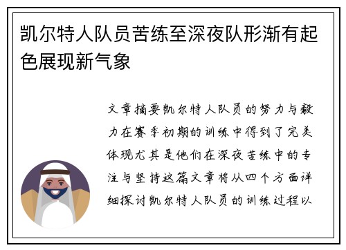 凯尔特人队员苦练至深夜队形渐有起色展现新气象